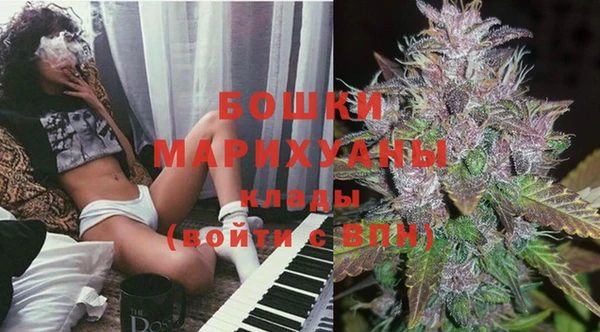 винт Пересвет