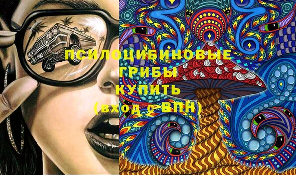 дурь Алексеевка